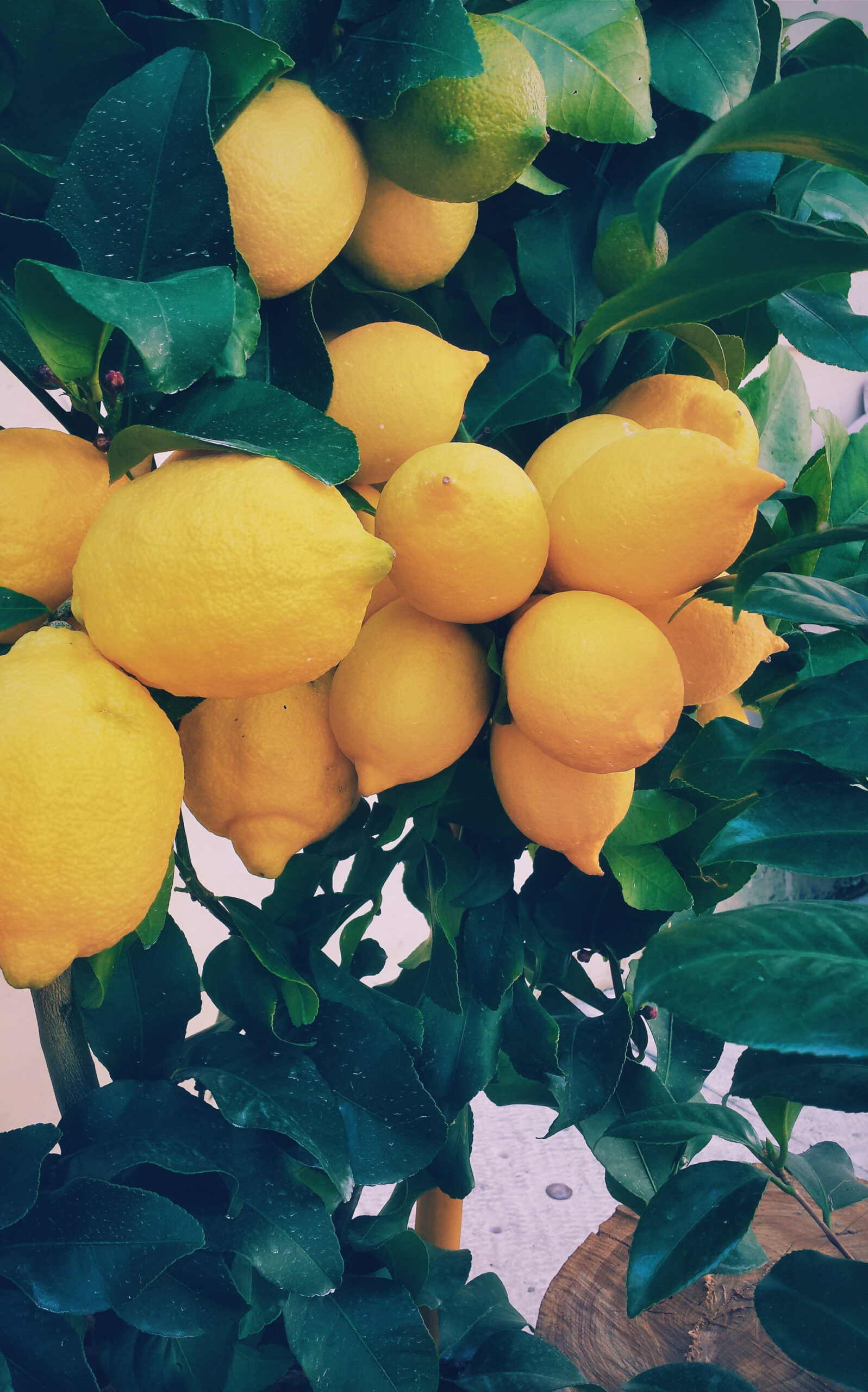 9S1EVn4P7lwmgyQ9CsBk3Nb2mhiWeiQ3UudqybbY