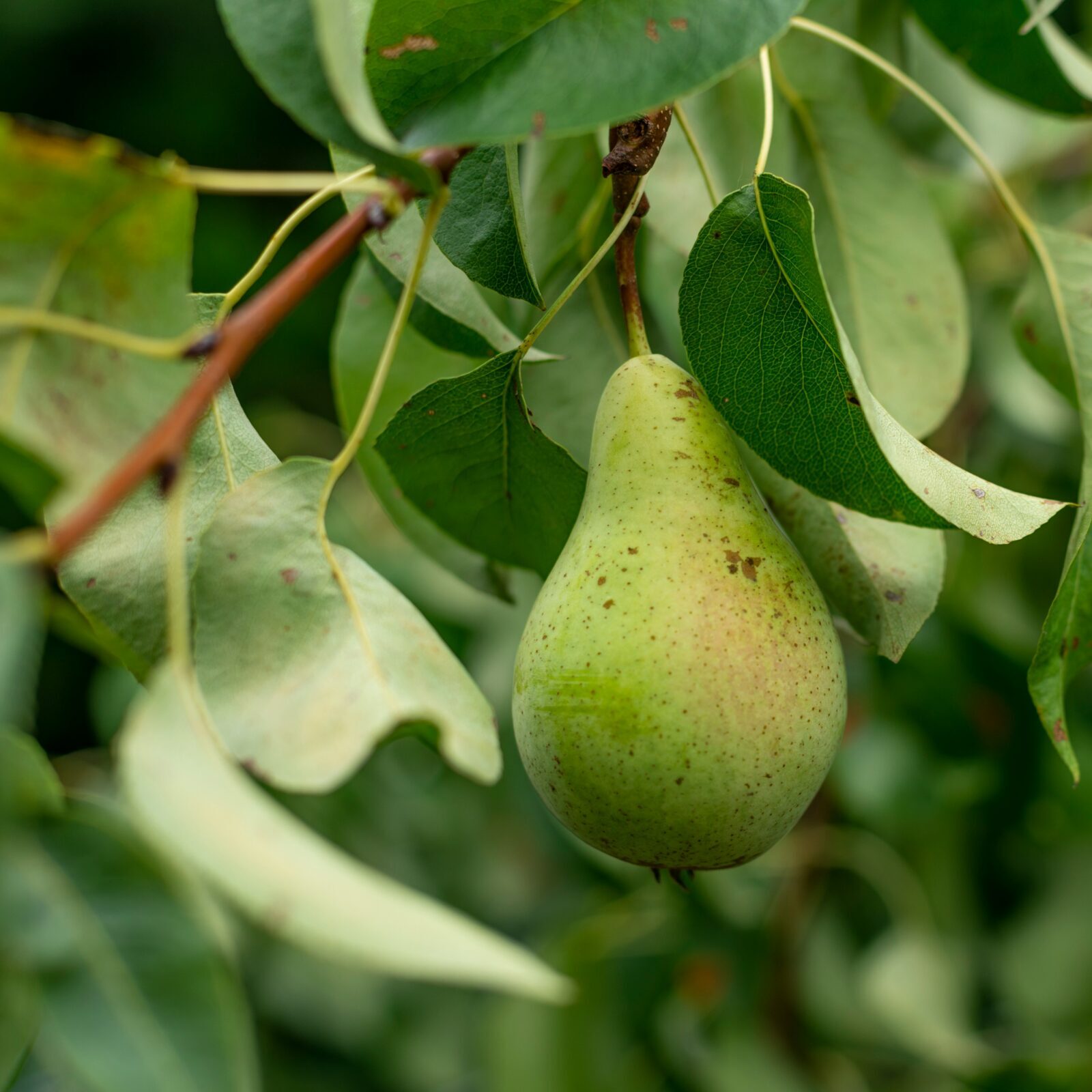 DjZmTa09KgVvUBlHjzqNDNjqJbCd9PZyS00Gx4jO