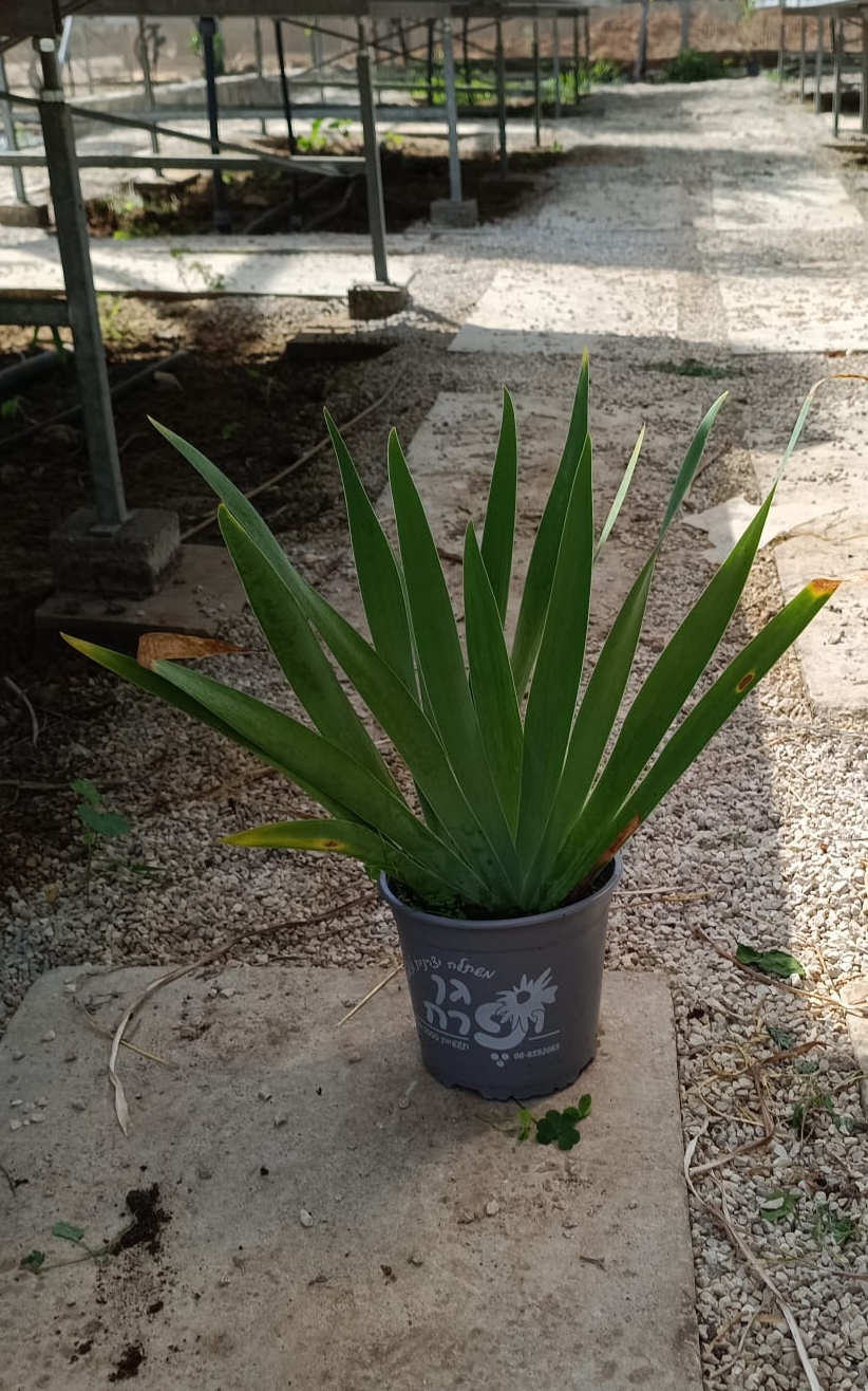 o79YXWVWBLnagHi93oF7GCZmEqnnrdehrmmyX8Kp